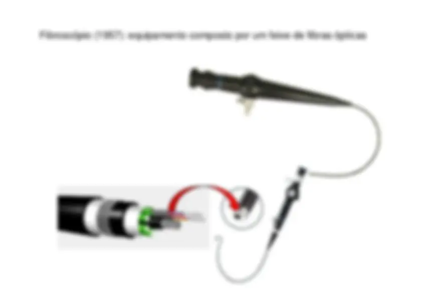 pf19