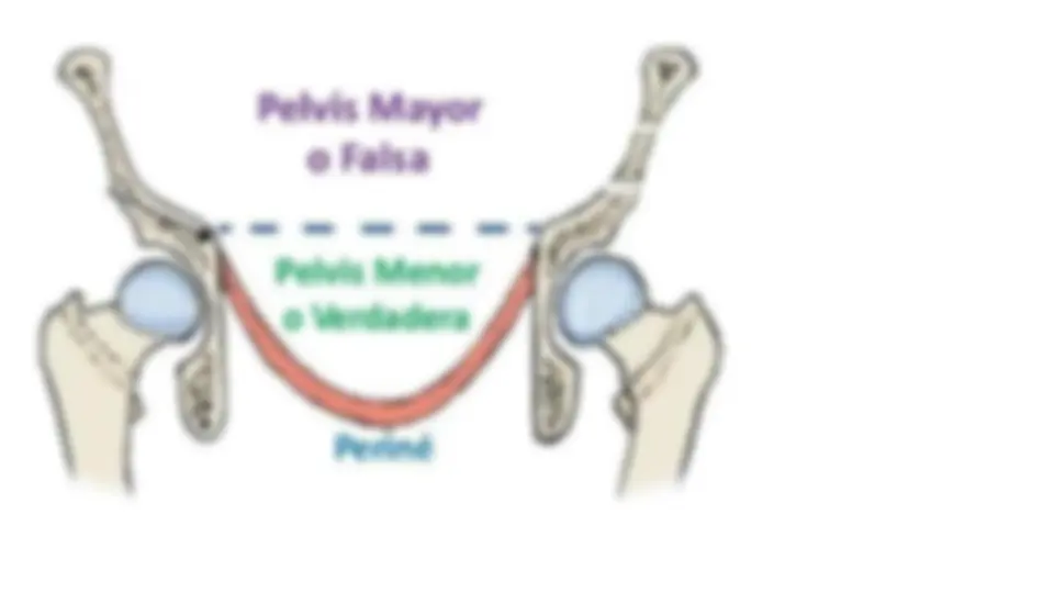 pf16