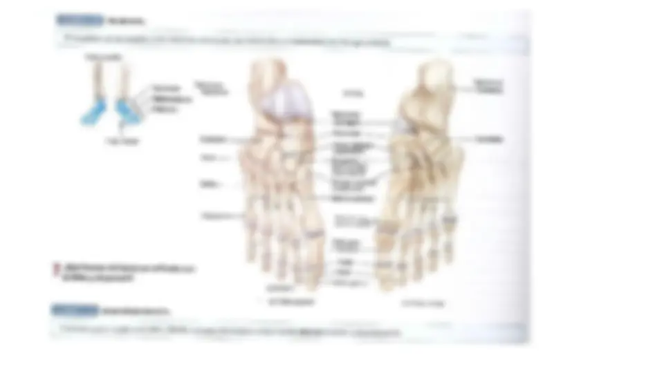 pf23