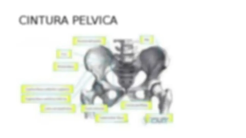 pf13