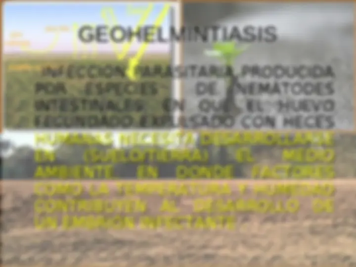 pf3