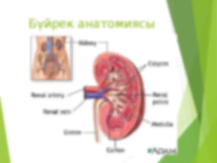 Жас, артық салмақты әйелдермен порно