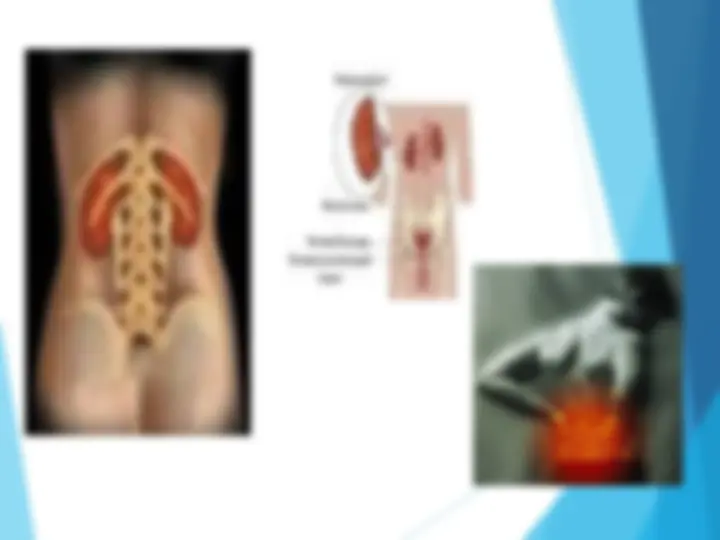 Жалаңаш ұйықтап жатқан бөкселер