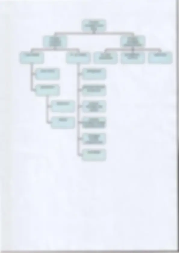 pfe