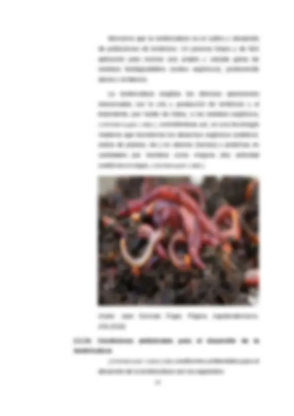 pf17