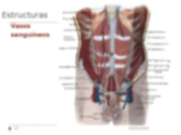 pfa