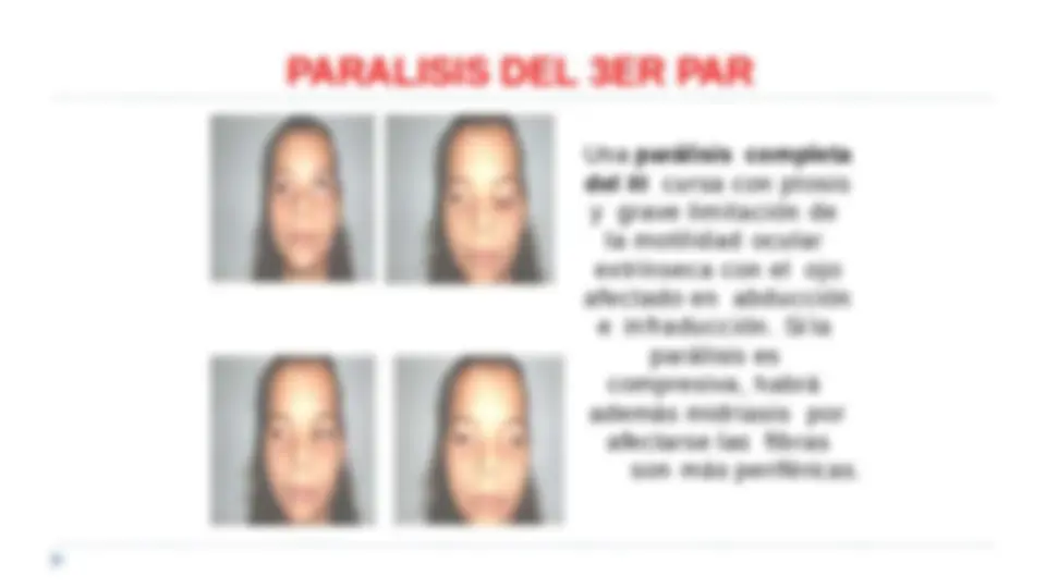 pf19