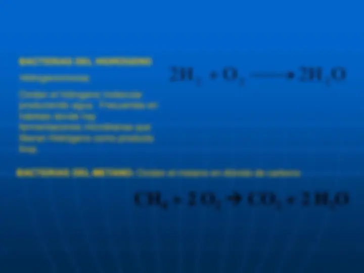pf20
