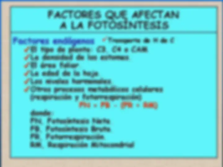 pf13
