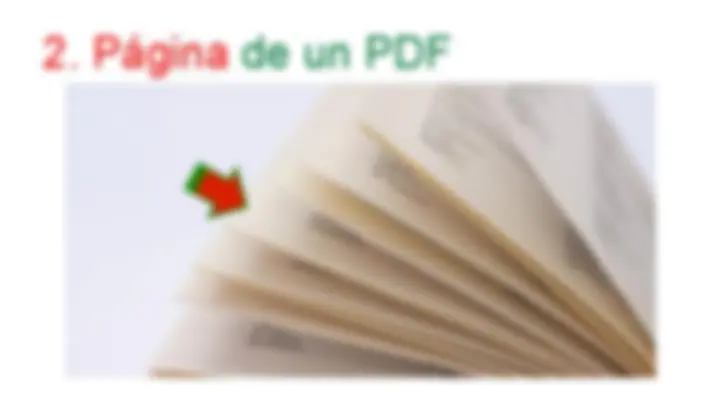 pf1d