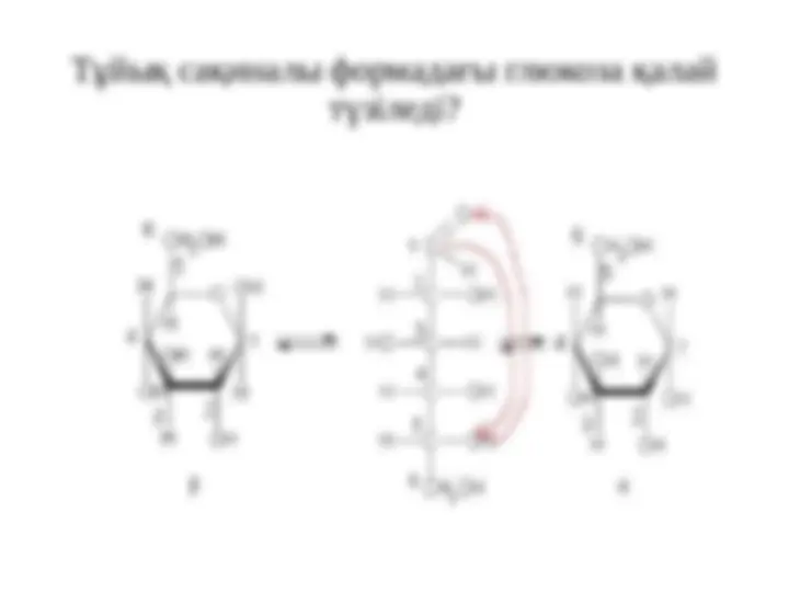 Олар попуга жас қыздарды трахает