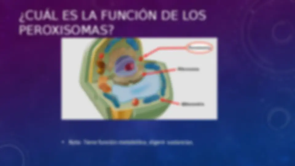 pf3
