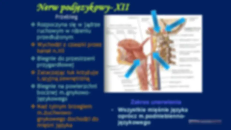 pf32