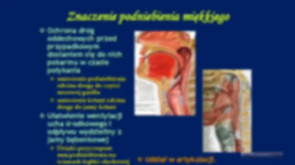 pf19