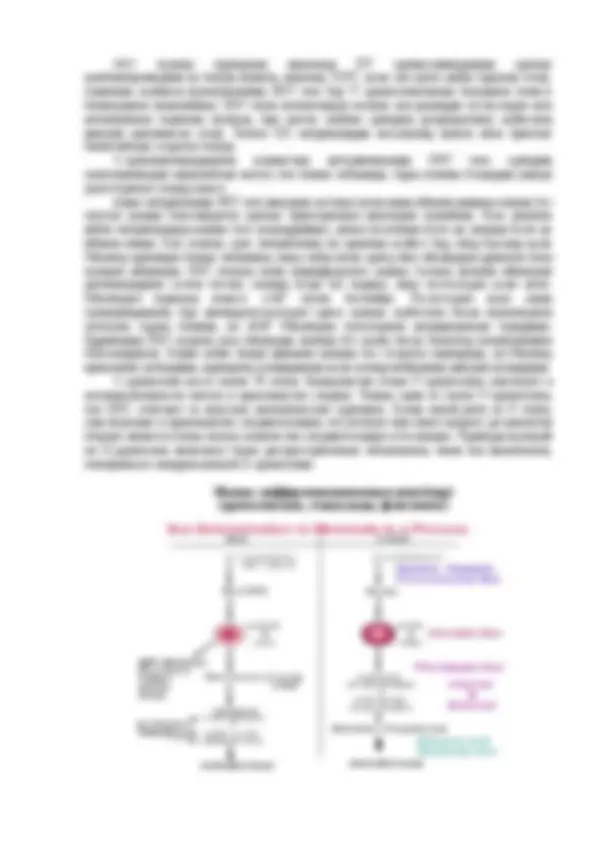 Порно анасы баласына сабақ береді Тар киім фотосуреттеріндегі үлкен кеуделер