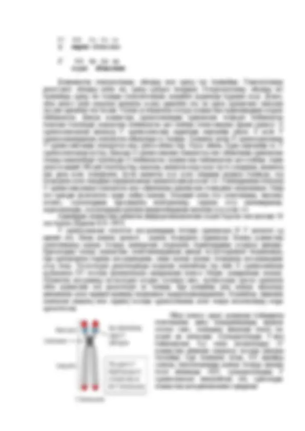 Өзбек алдау порно Орыстармен виртуалды секс