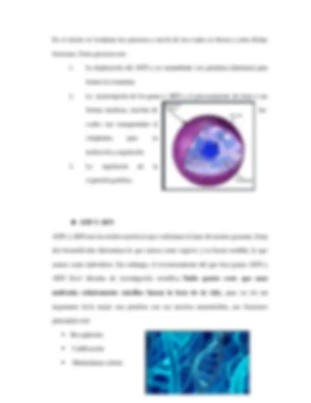 pf3