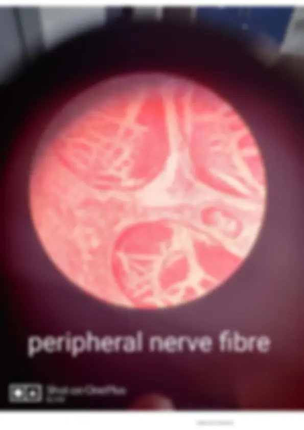pf42