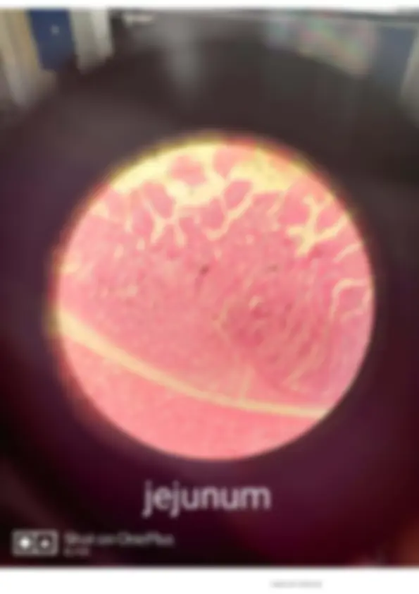 pf1a