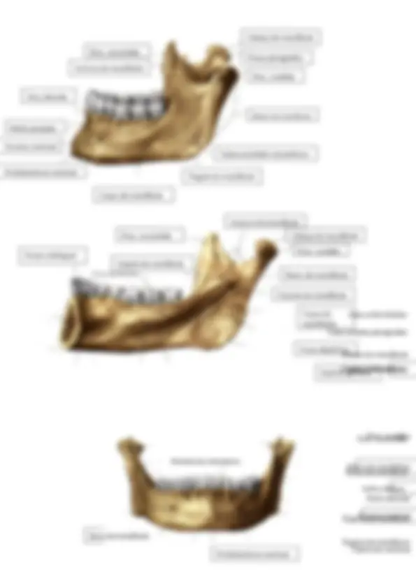 pf5