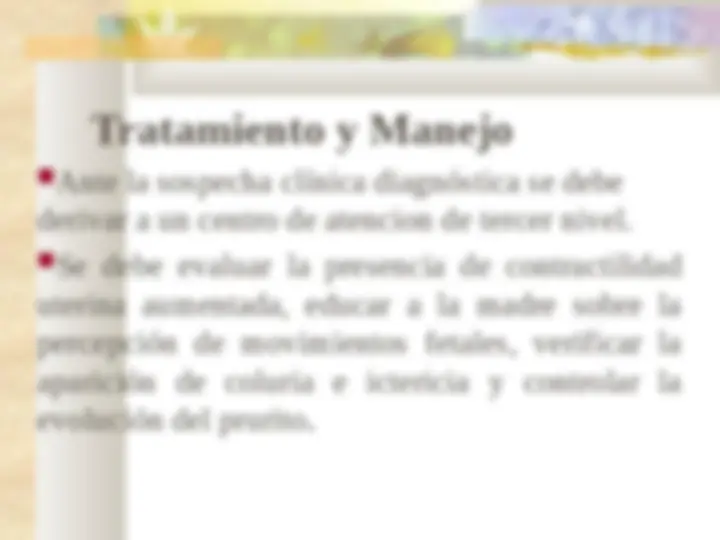 pf24