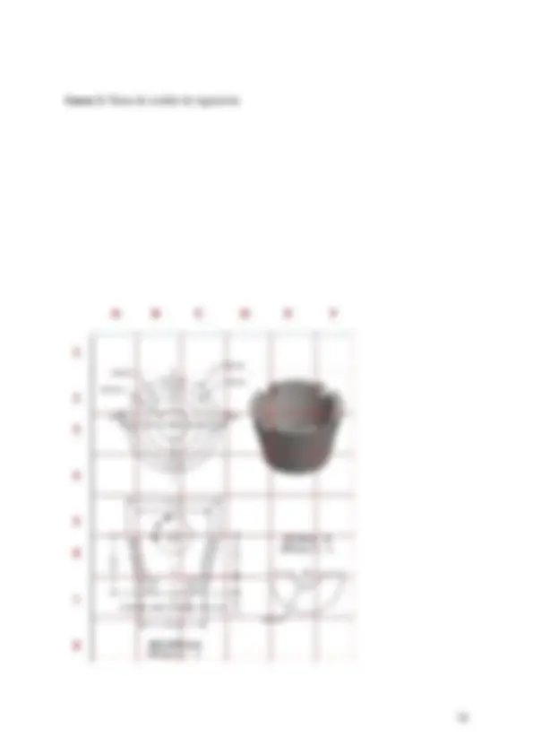 pf20