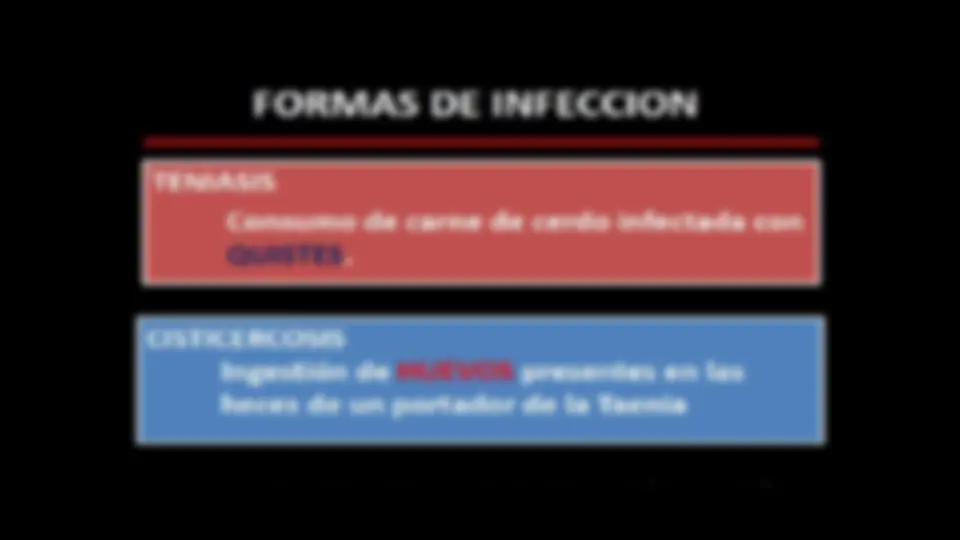pf5