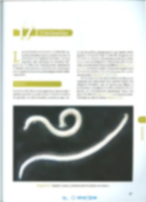 pf4d
