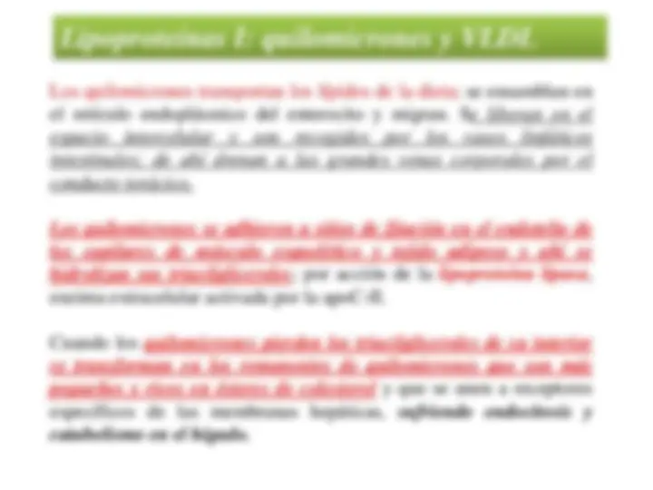 pf33