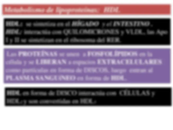 pf3b