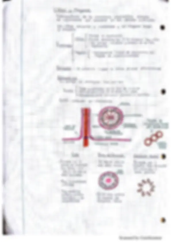 pf15