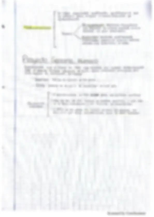 pf13