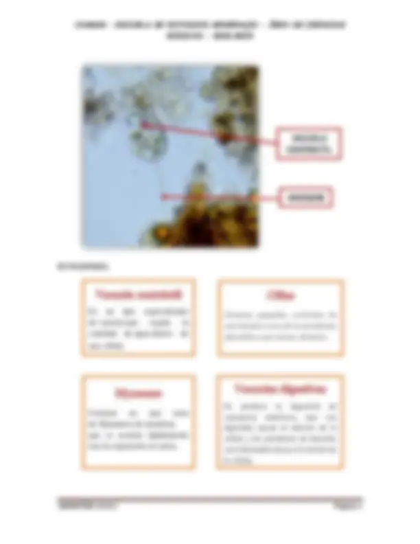 pf3