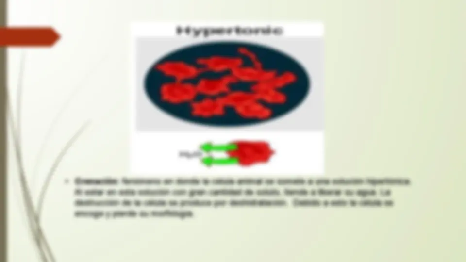 pf5