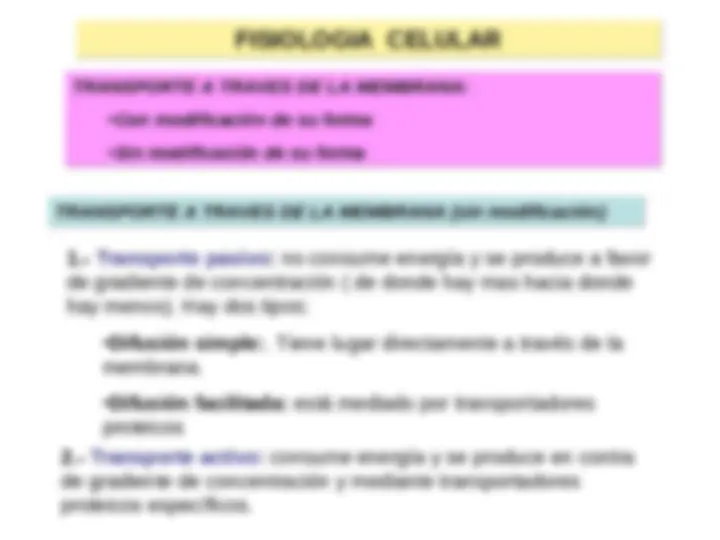 pf1a
