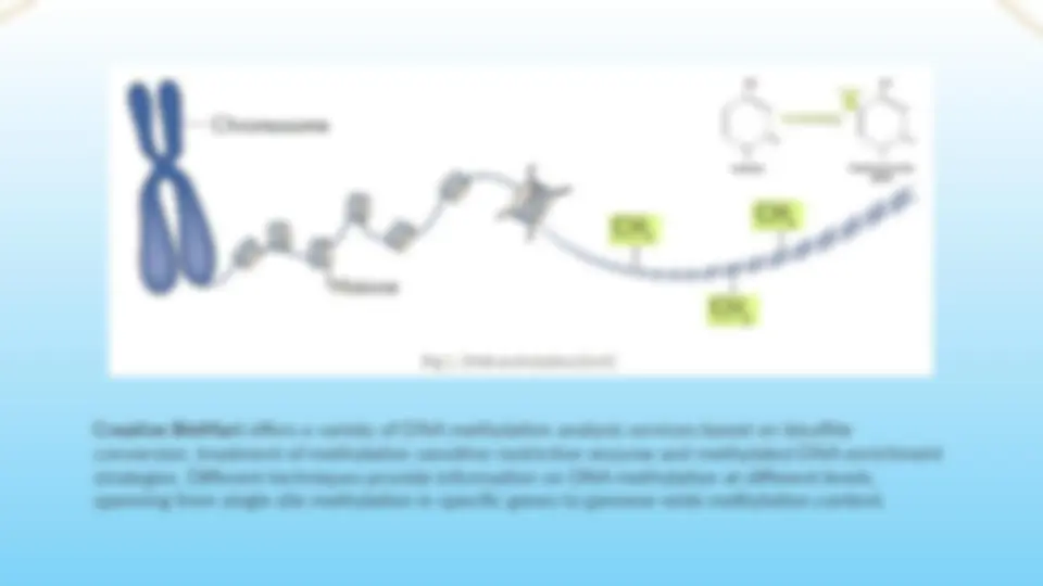 pf3