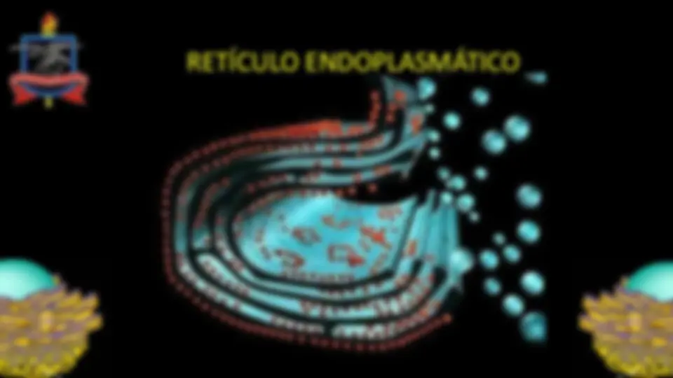 pf4