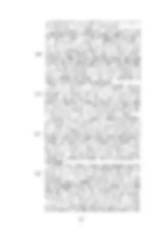 pf13
