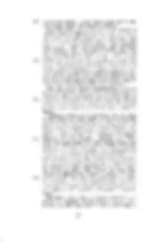 pf1d