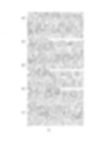 pf19