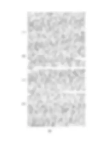 pf1c