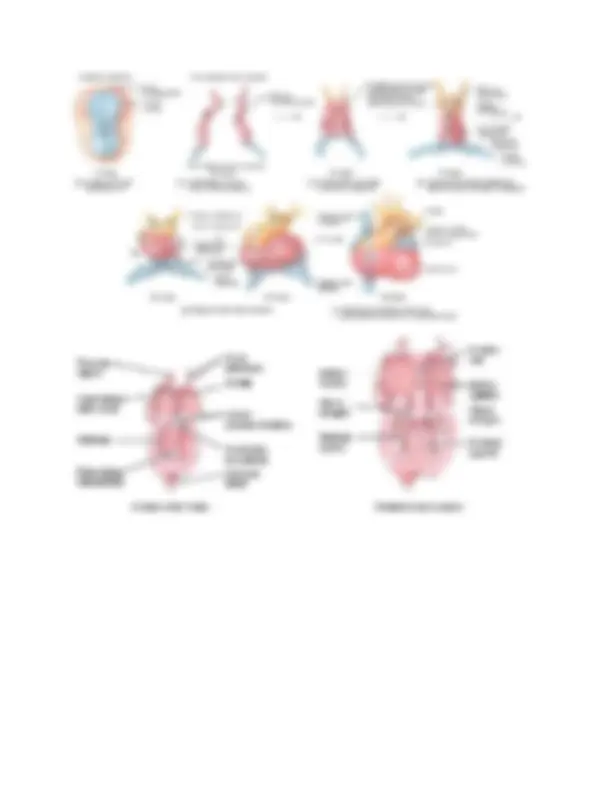 pfa
