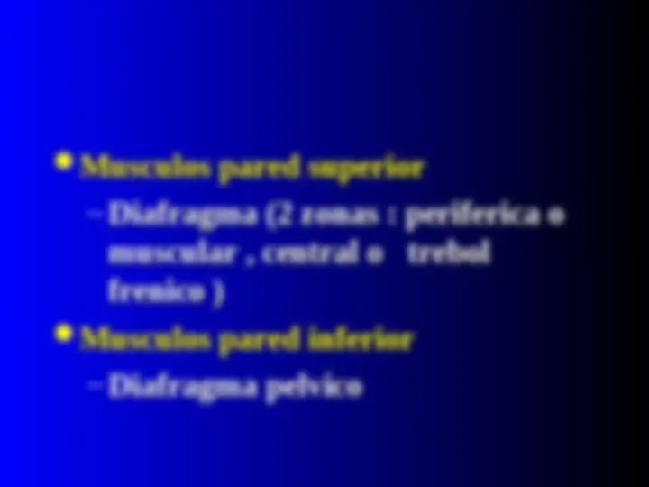 pfe