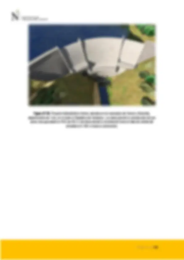 pf20