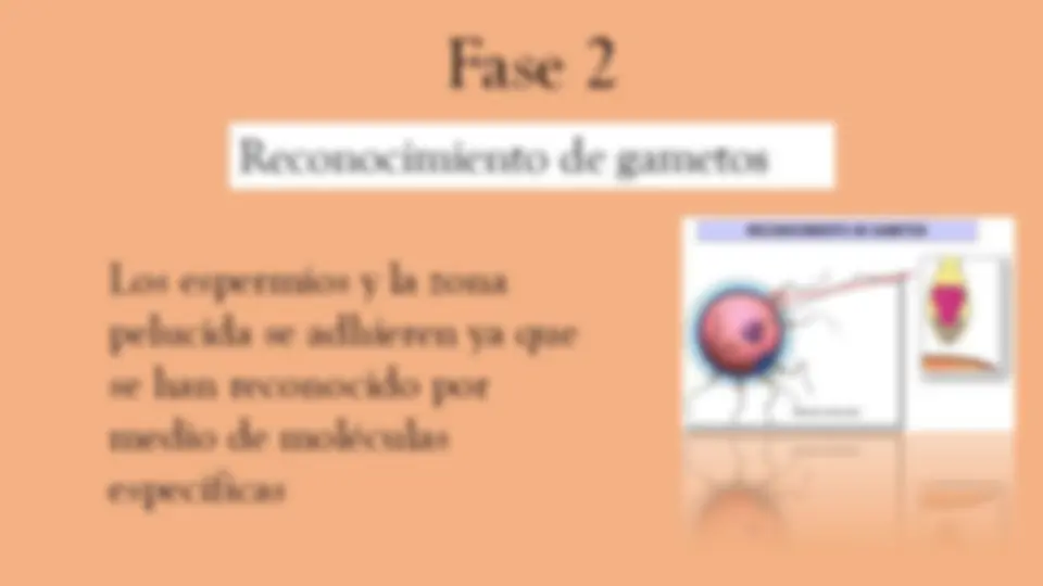 pf5