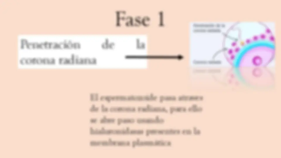 pf4