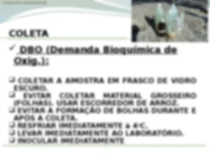 pf20