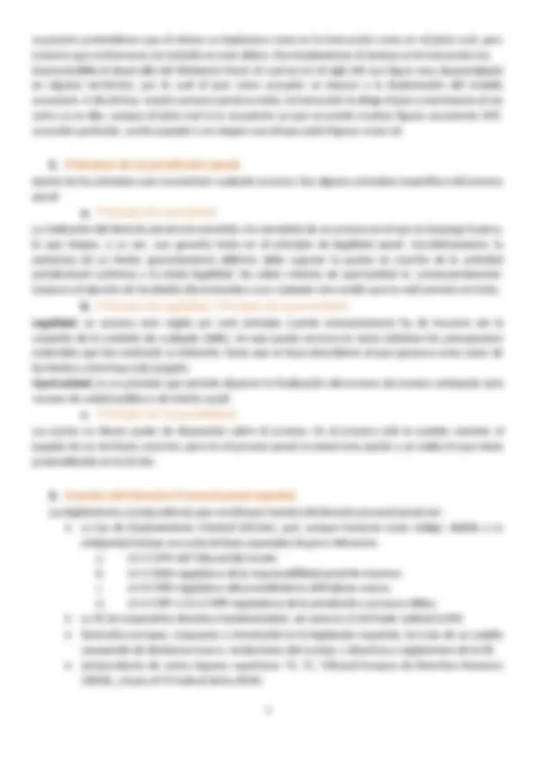 Derecho Procesal Penal: Sistemas y Principios del Proceso Penal ...