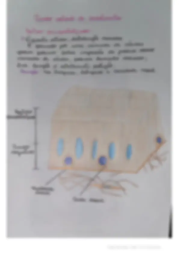 pf4