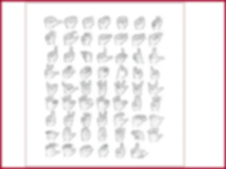 pf24